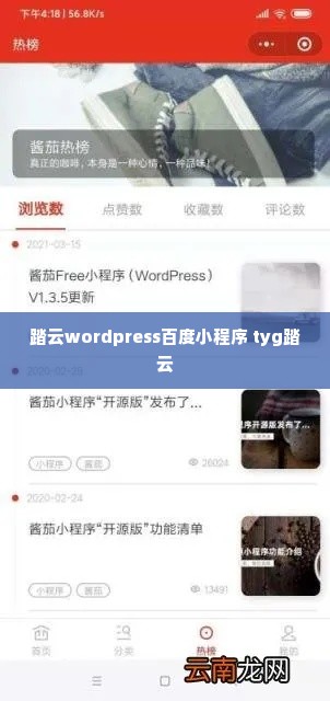 踏云wordpress百度小程序 tyg踏云