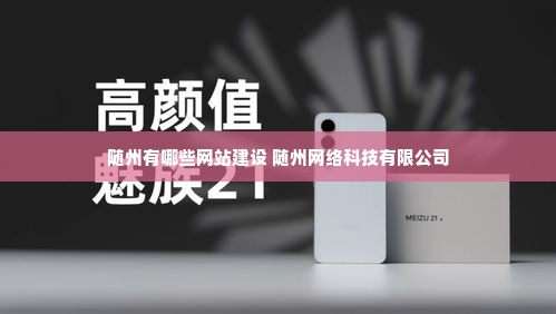 随州有哪些网站建设 随州网络科技有限公司