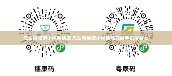 怎么进微信小程序穗康 怎么将穗康小程序添加到手机屏幕上