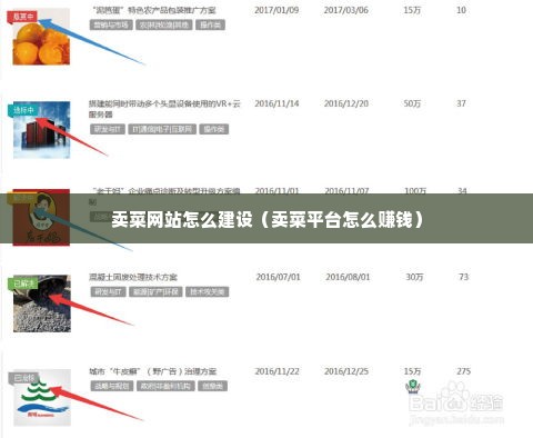 卖菜网站怎么建设（卖菜平台怎么赚钱）
