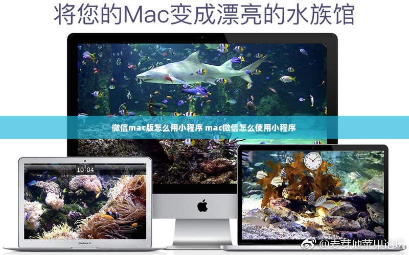 微信mac版怎么用小程序 mac微信怎么使用小程序