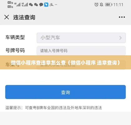 微信小程序查违章怎么查（微信小程序 违章查询）