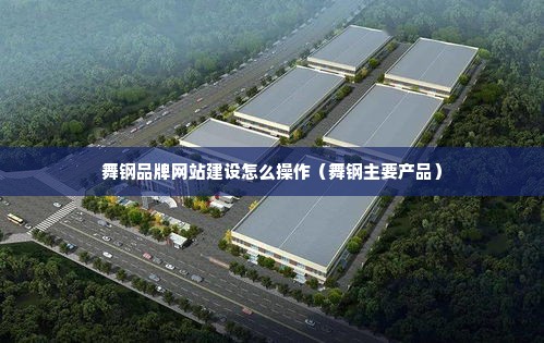 舞钢品牌网站建设怎么操作（舞钢主要产品）