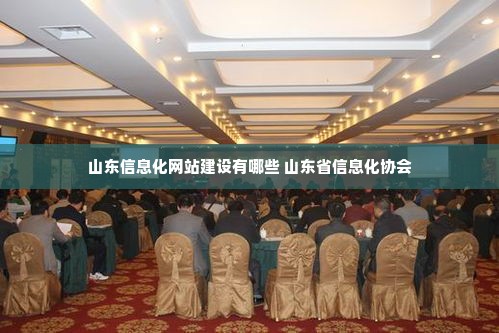 山东信息化网站建设有哪些 山东省信息化协会