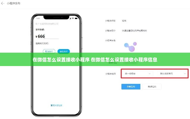 在微信怎么设置接收小程序 在微信怎么设置接收小程序信息