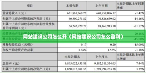 网站建设公司怎么开（网站建设公司怎么盈利）