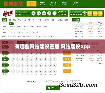 有哪些网站建设管理 网站建设app