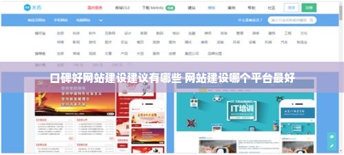 口碑好网站建设建议有哪些 网站建设哪个平台最好