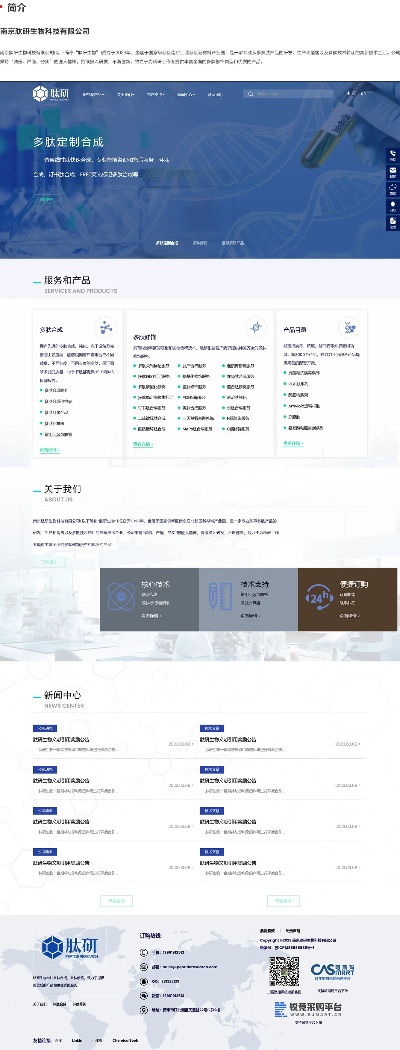 项目网站建设都有哪些 网站项目规划