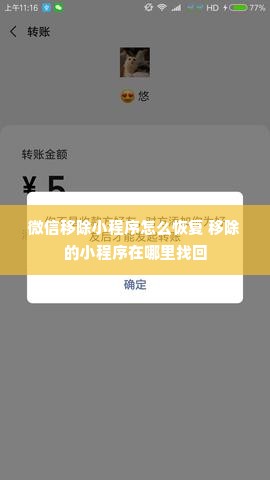 微信移除小程序怎么恢复 移除的小程序在哪里找回