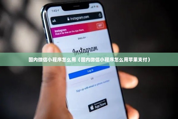 国内微信小程序怎么用（国内微信小程序怎么用苹果支付）