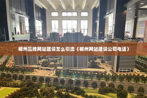 郴州品牌网站建设怎么引流（郴州网站建设公司电话）