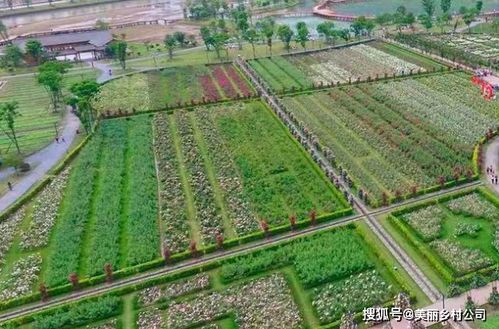 建设乡村网站有哪些 乡村建设服务