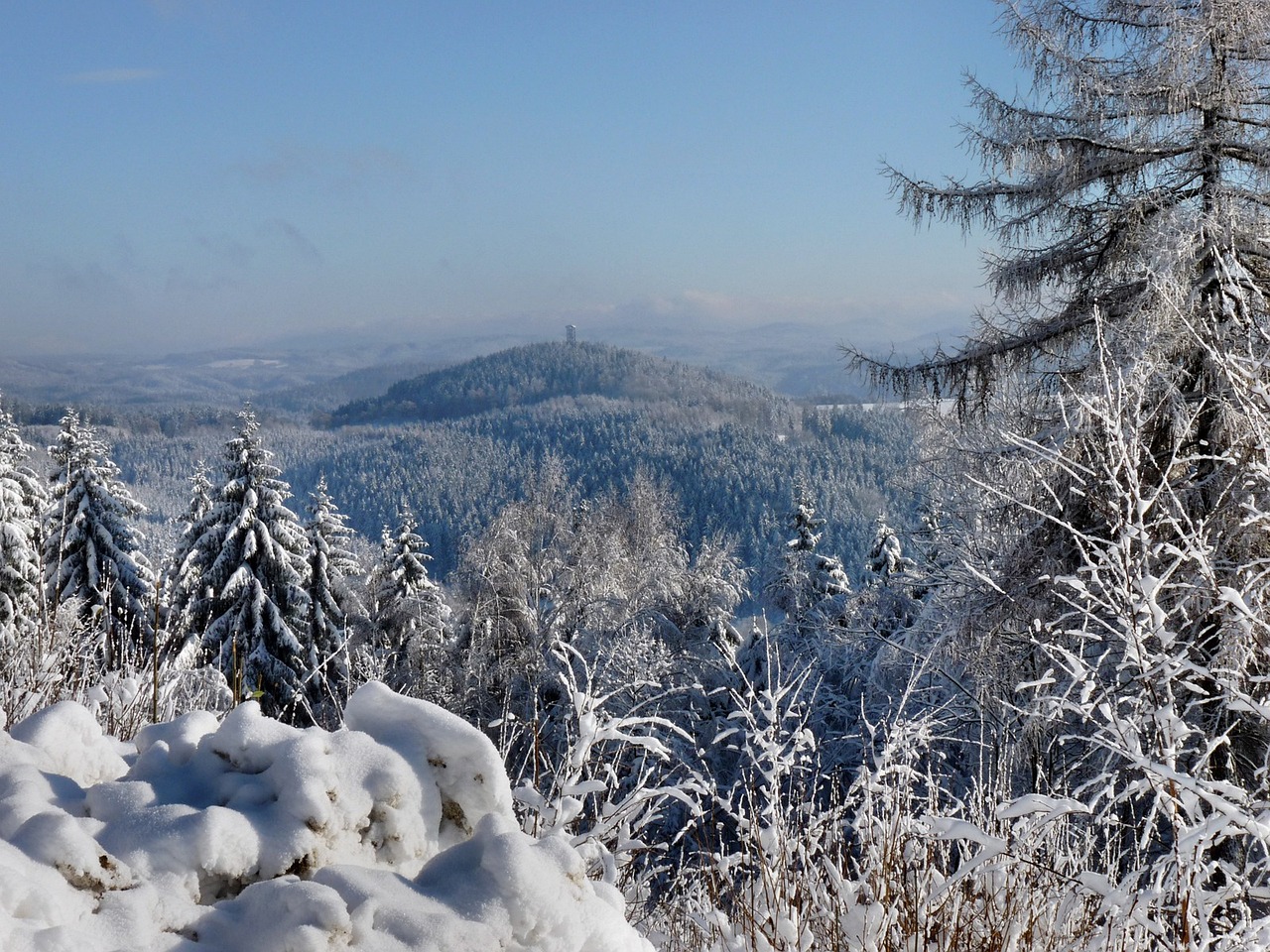 雪鹏网站怎么建设（雪鹏网站怎么建设的）