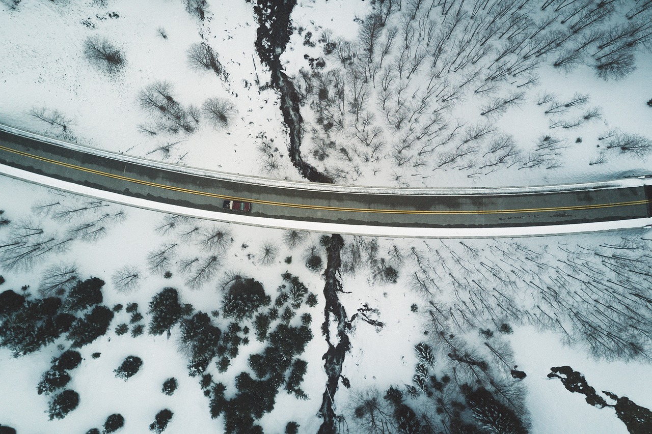 雪鹏网站怎么建设（雪鹏网站怎么建设的）