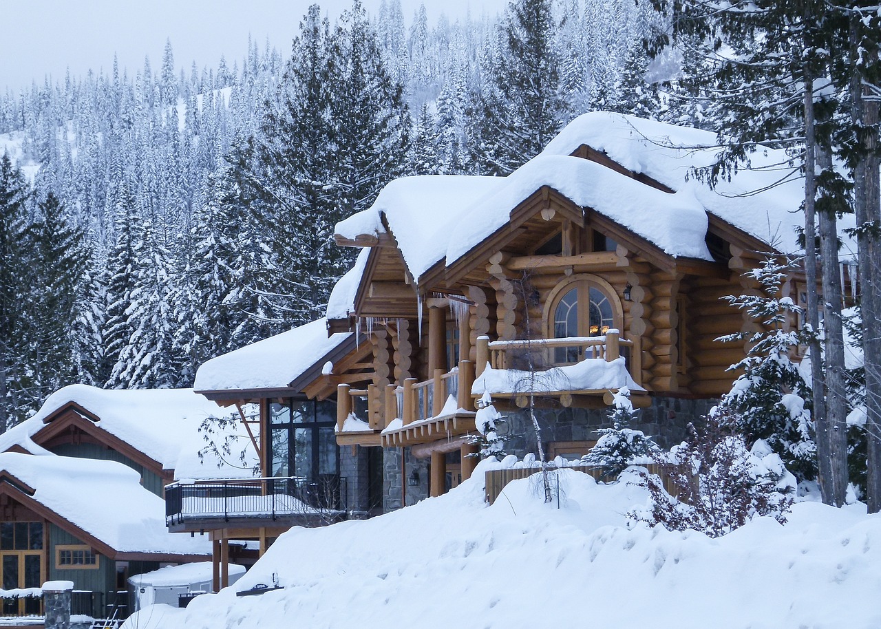 雪鹏网站怎么建设（雪鹏网站怎么建设的）