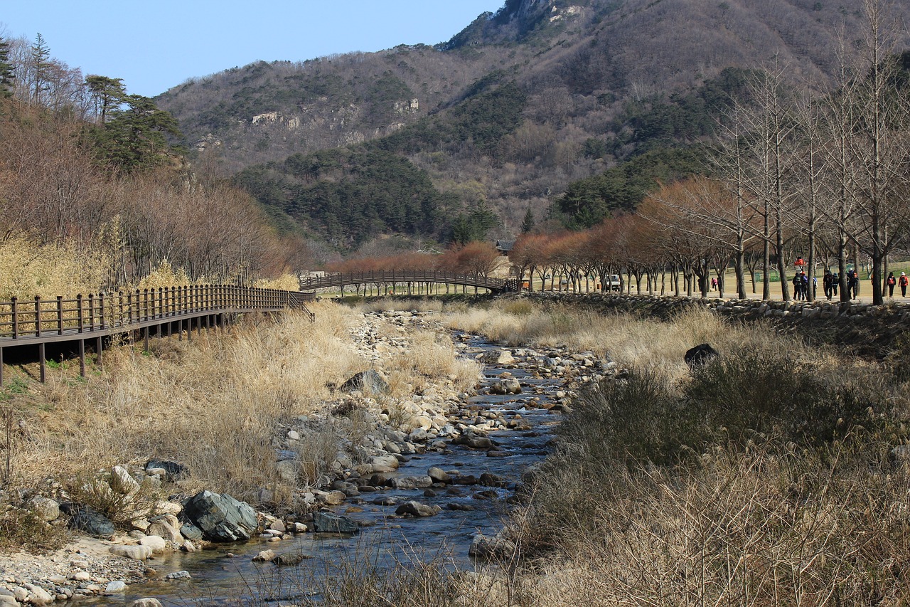 资阳景区网站建设项目一览