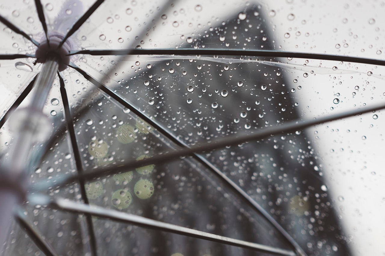 小雨伞微信小程序使用指南，轻松应对雨天无忧