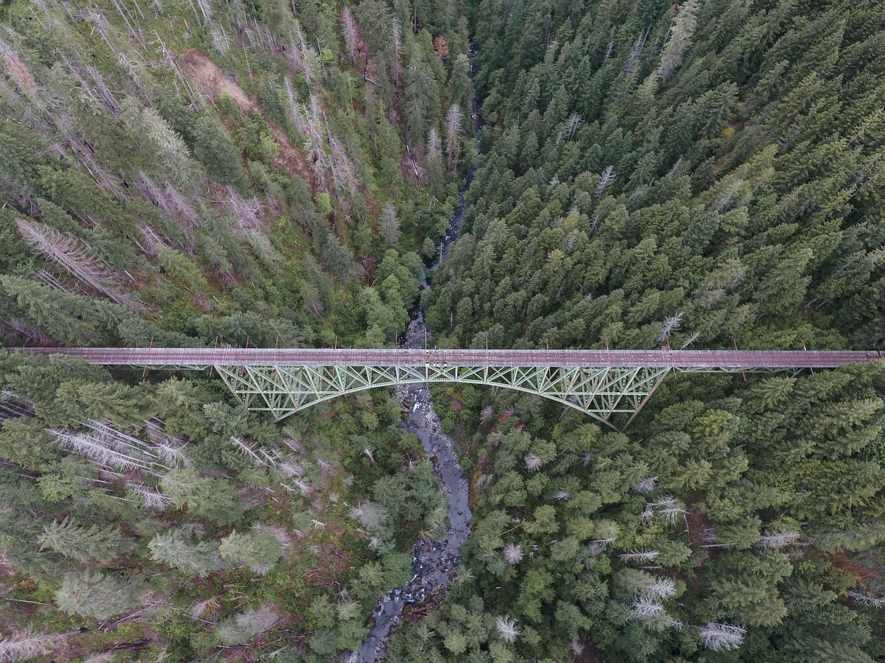 广东景物网站建设费用多少？