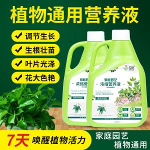 绿植营养液 绿植营养液的作用和功效