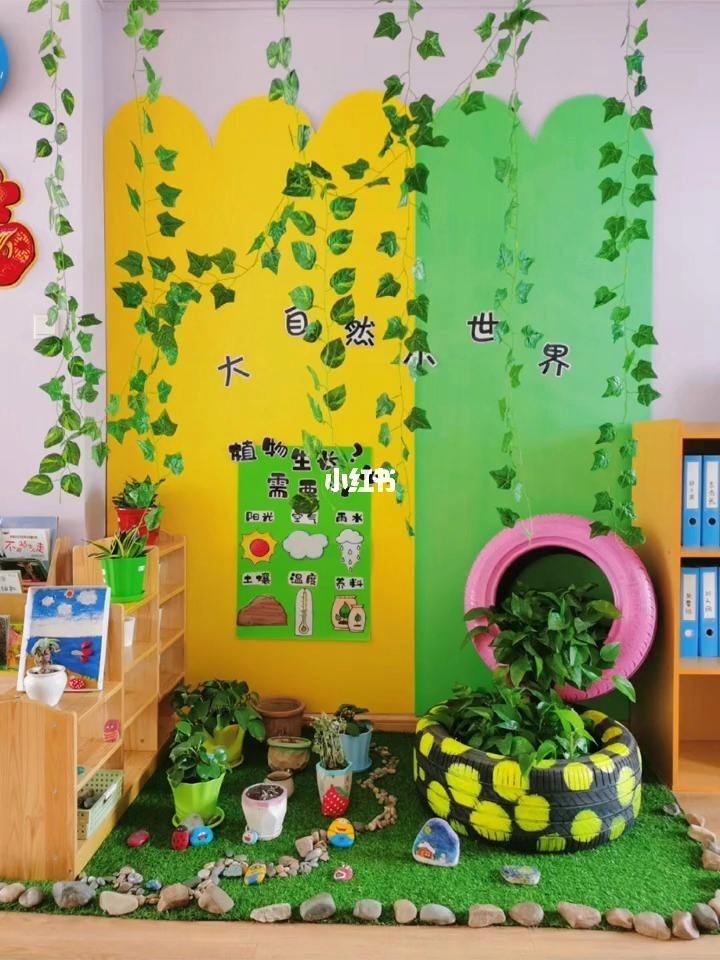 幼儿园植物角布置 幼儿园植物角布置要求