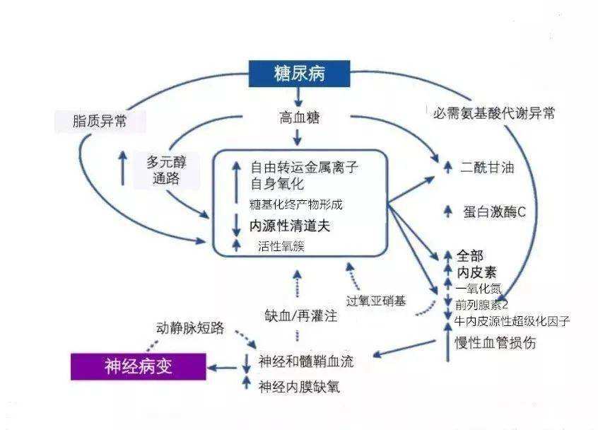 营养神经的 营养神经的眼药水有哪些