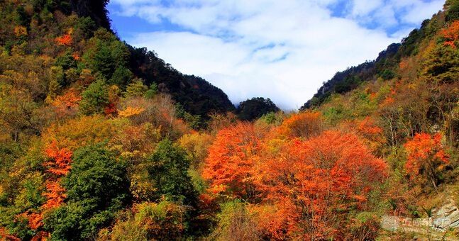 巴中周边旅游景点自驾 巴中周边旅游景点自驾路线