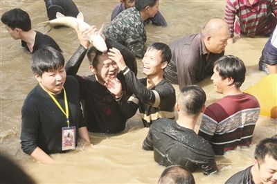 河中摸鱼大小难分打一生肖 河中摸鱼大小难分打一生肖解