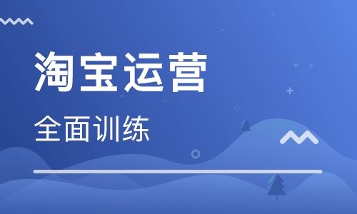 杭州淘宝代运营 杭州淘宝代运营公司怎么报名