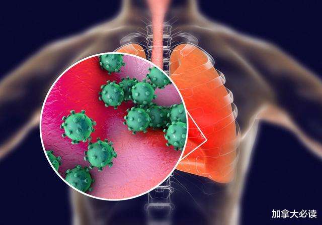 哪种人不易患新冠病毒 哪3种人不易感染新冠病毒