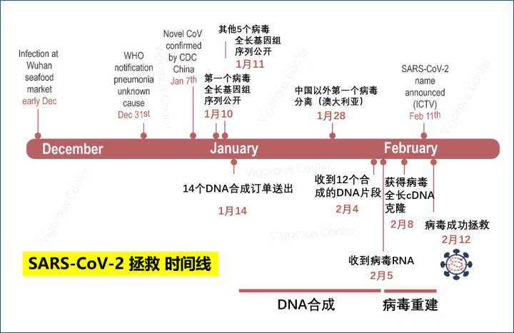 新冠病毒活性最高的温度 新冠病毒失去活性的最低温度