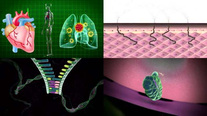 新冠病毒会入侵心脏吗 新冠病毒会入侵心脏吗视频