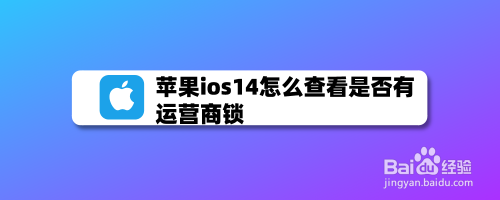 苹果运营商客服电话 苹果运营商客服电话多少