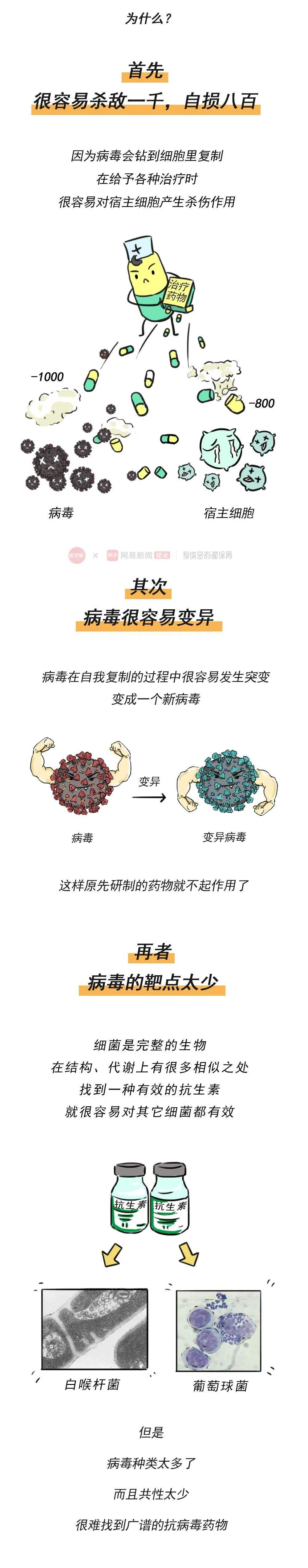 B11新冠病毒 新冠病毒B1617