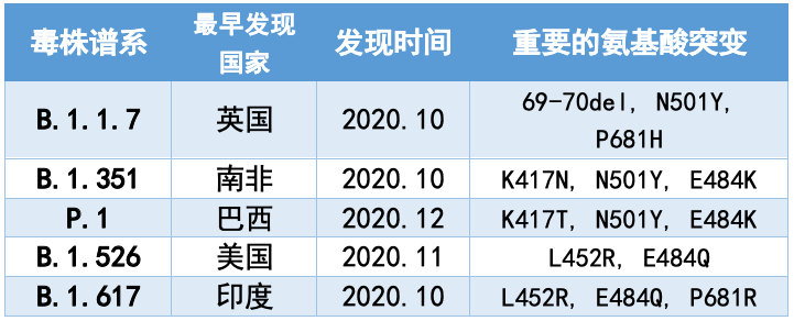 新冠病毒阳性等于确证吗 新冠病毒阳性是确诊还是阴性是确诊