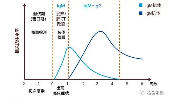 轻度新冠病毒传染的程度 轻度新冠病毒传染的程度有多高