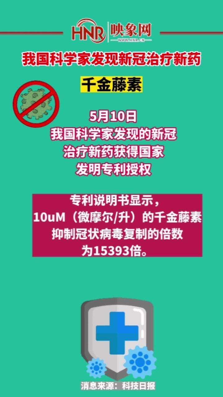 新冠病毒研究的新药 新冠病毒研究新药迫在眉睫,在此情况下