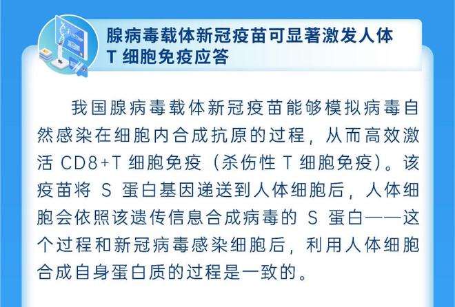 新冠疫苗腺病毒载体3 新冠疫苗腺病毒载体是哪个公司的