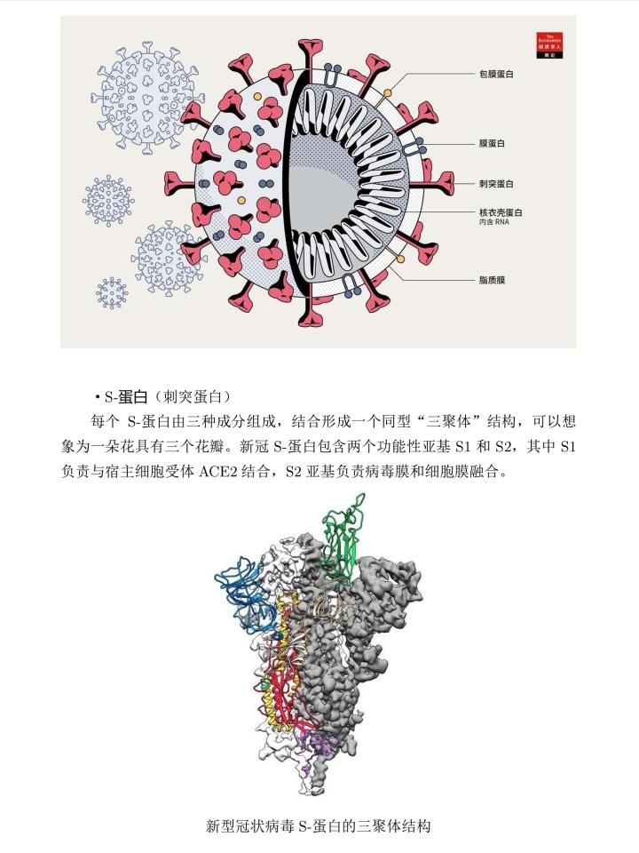 新冠病毒的固有频率 新冠病毒的固有频率是多少?