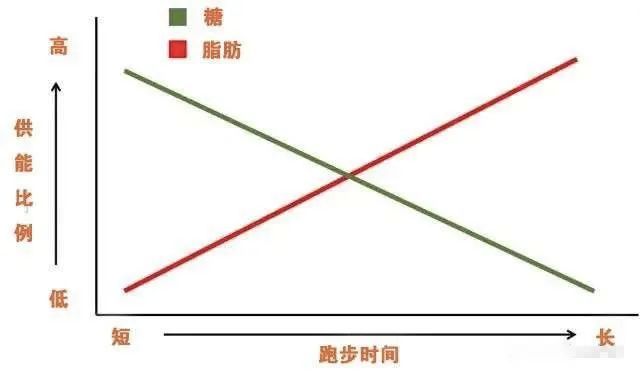 减肥瘦的部位先后顺序 运动减肥先瘦哪里部位顺序