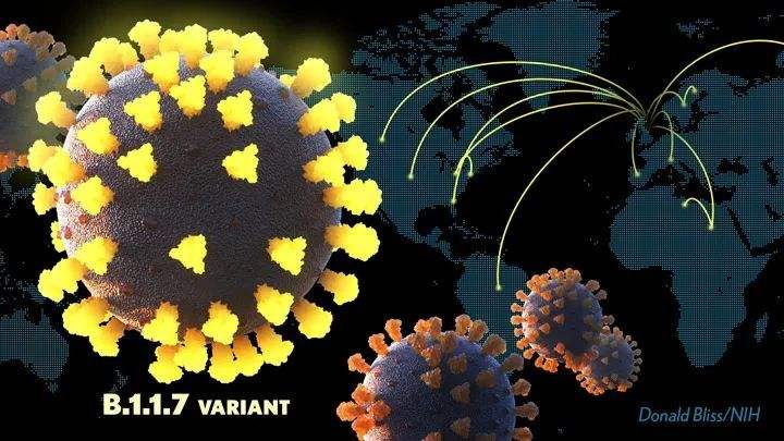 多国出现新冠病毒变异毒 多国出现新冠病毒变异毒株的原因