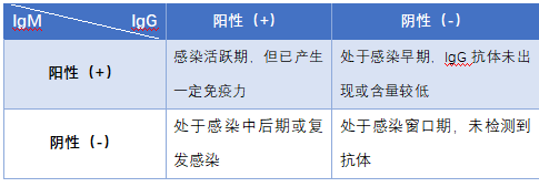 新冠病毒产生自身抗体 自己产生新冠病毒的抗体