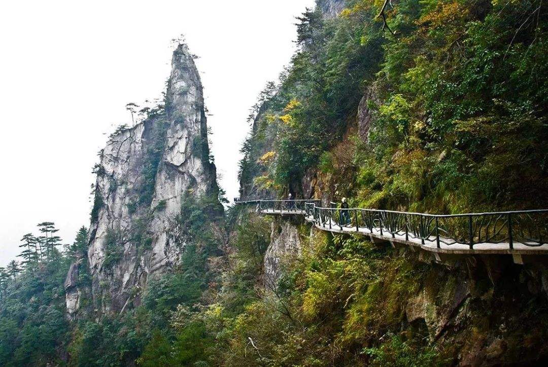 大明山和黄山哪个好玩 大明山和黄山哪个好玩些