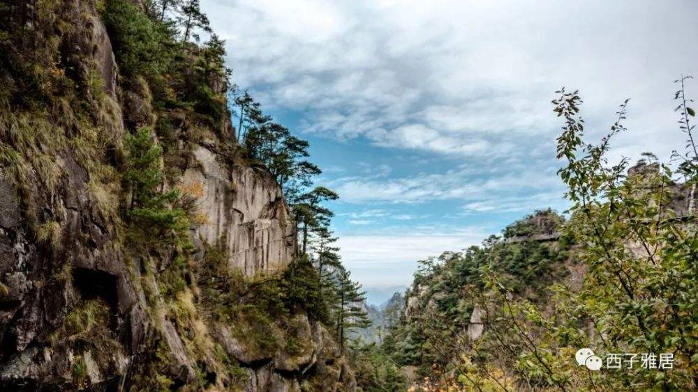 大明山和黄山哪个好玩 大明山和黄山哪个好玩些