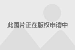 吉利最新icon内部结构 吉利最新icon内部结构图