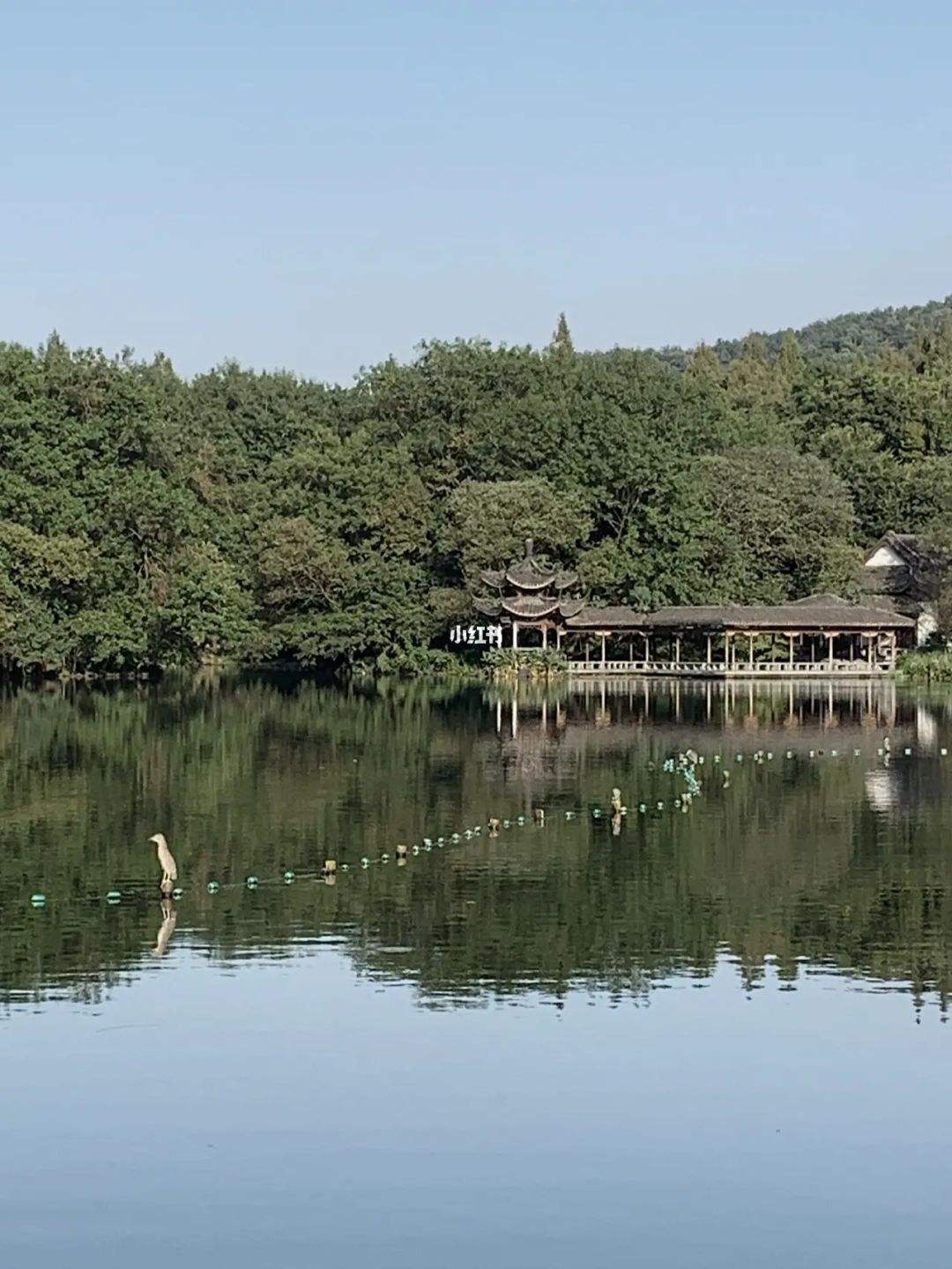 杭州西湖喝茶的地方 杭州西湖喝茶吃饭好去处