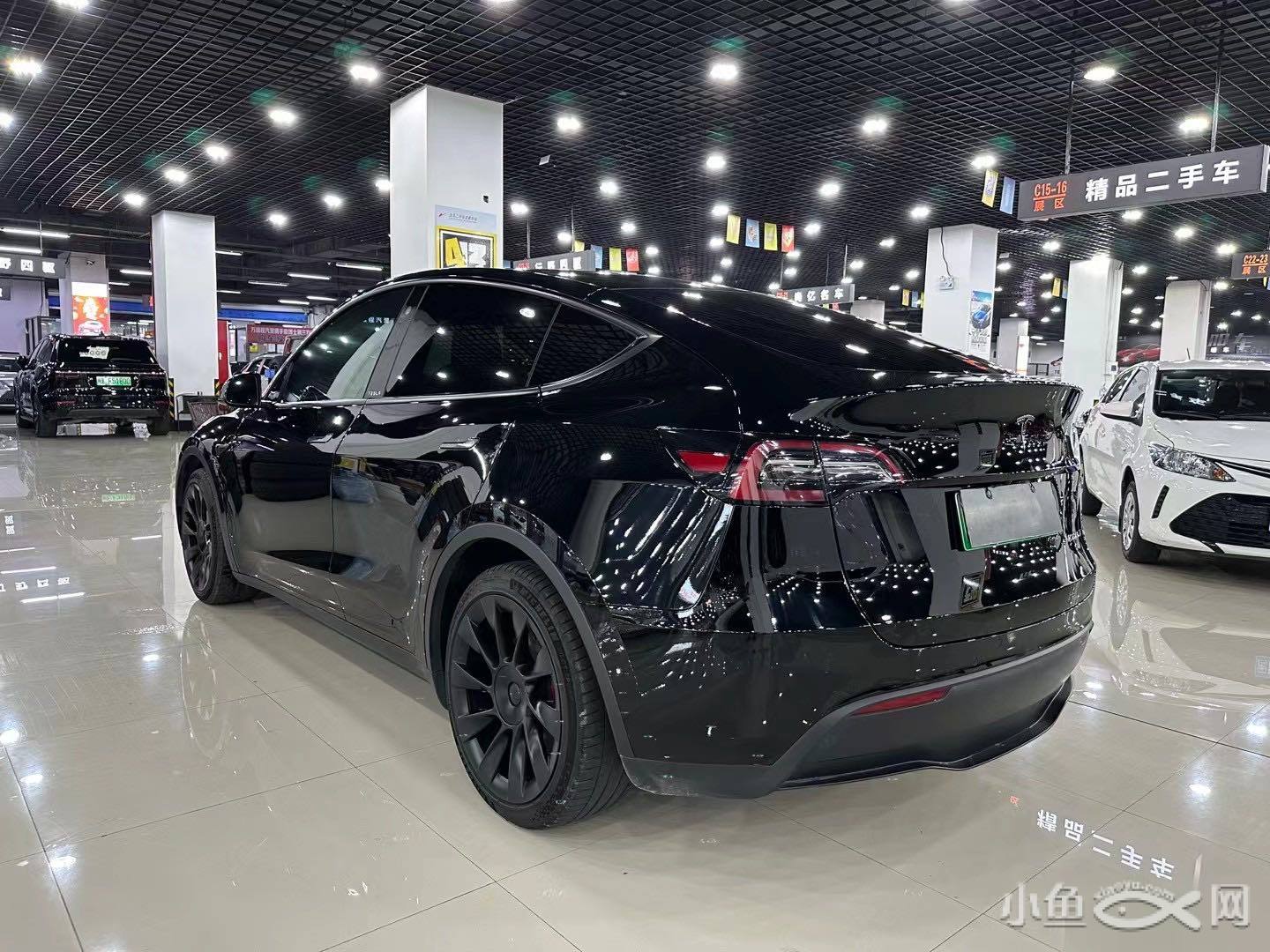 modely多少匹 model y 多少匹