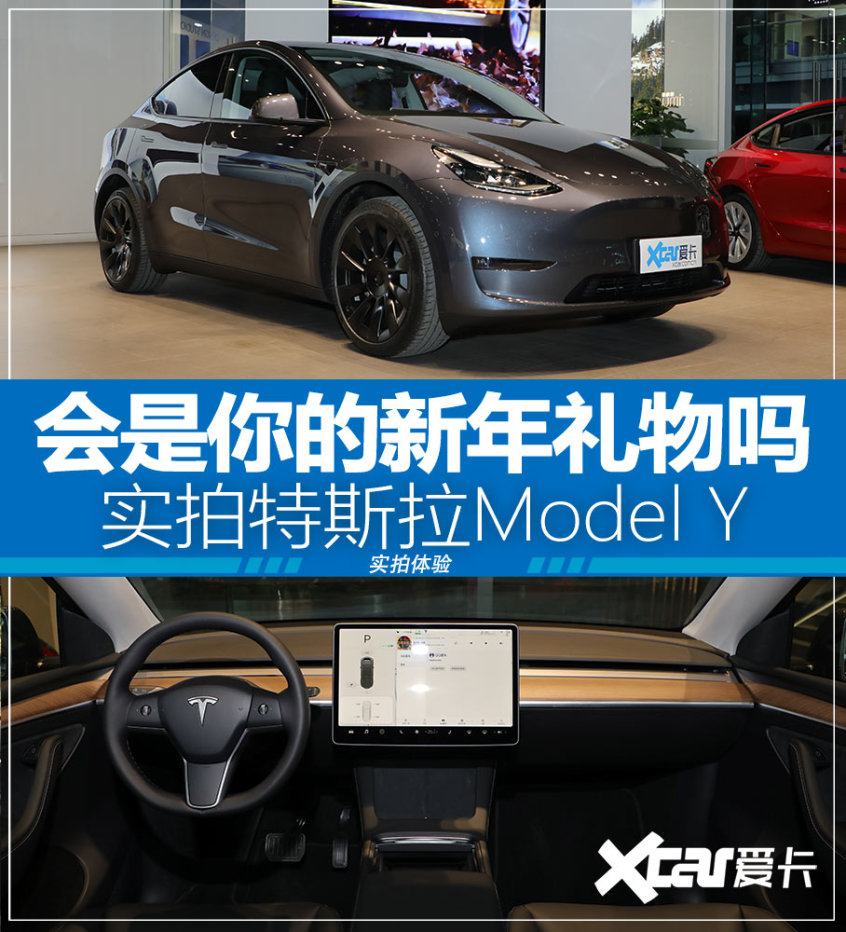 modely挂牌 modely 发布