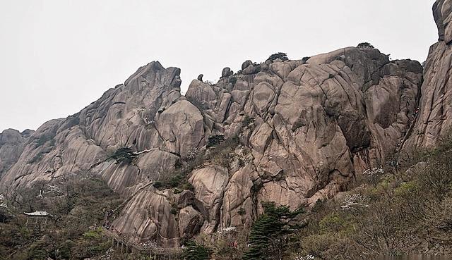 黄山的奇石很多像什么 黄山的奇石很多像什么一样