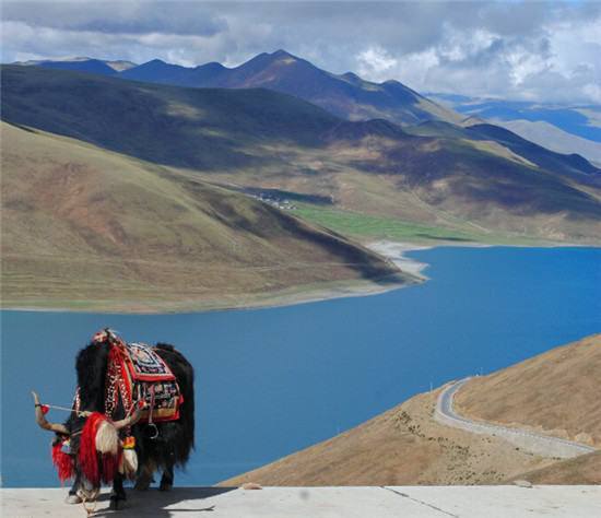 去西藏哪个旅行社好 去西藏旅游哪家旅行社好